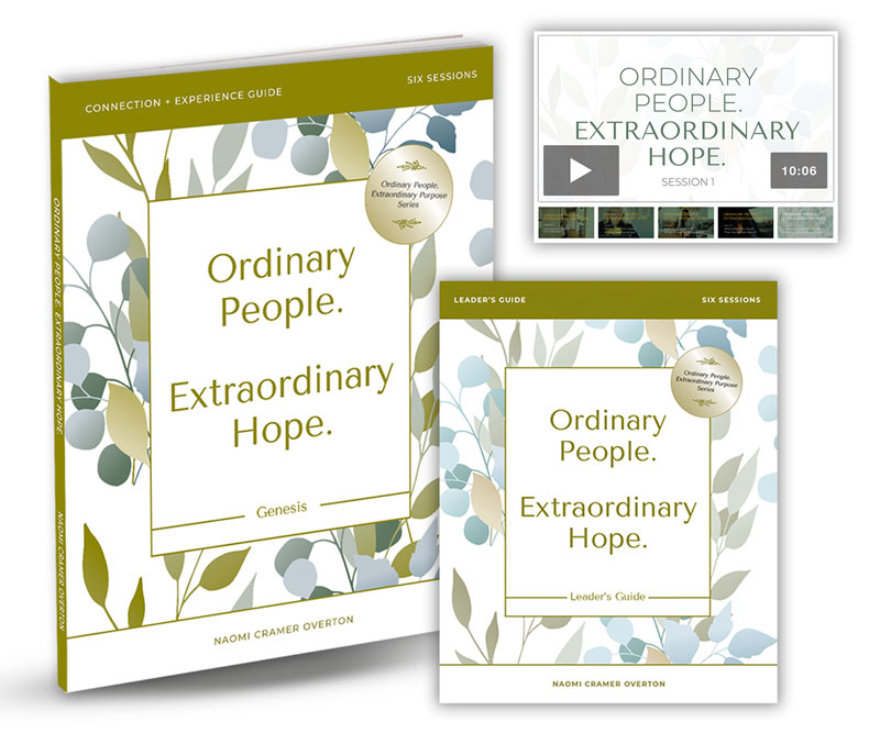 Small Groups, Encouragement, Ordinary People, Extraordinary Hope Leaders Kit